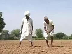 639 Farmers Ended Lives In 3 Months In Maharashtra: State Government