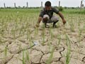 देश के कई इलाकों में औसत से कम बारिश, सूखे का खतरा मंडराने लगा
