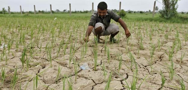 देश के कई इलाकों में औसत से कम बारिश, सूखे का खतरा मंडराने लगा