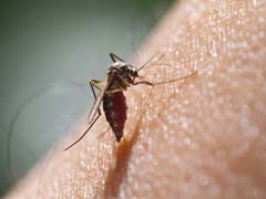 Climate Change May Lead To Spread Of Malaria, Crop Loss: Government