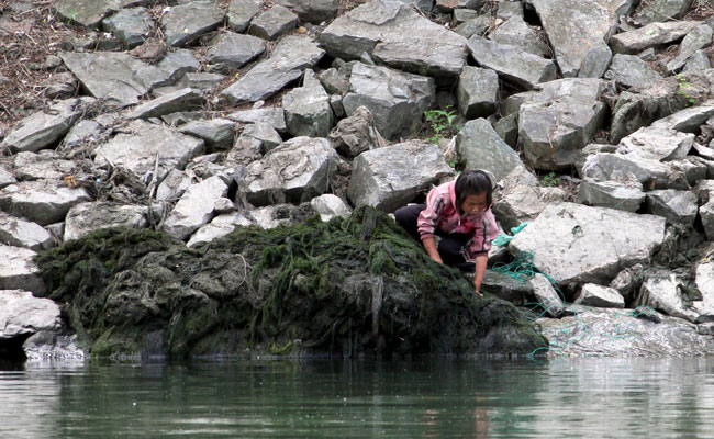 Drought Puts North Korean Children's Lives at Risk, Says UNICEF