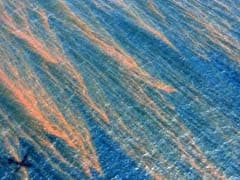 US Announces $20 Billion Resolution With BP Over 2010 Oil Spill