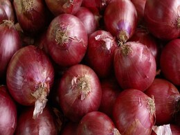 This Will Make Your Eyes Tear: Onion Prices Soar by 70%, Highest in 2 Years! This Will Make Your Eyes Tear: Onion Prices Soar by 70%, Highest in 2 Years!