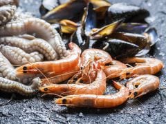 Giant Prawns can Protect Us from a Deadly Parasitic Disease: Study