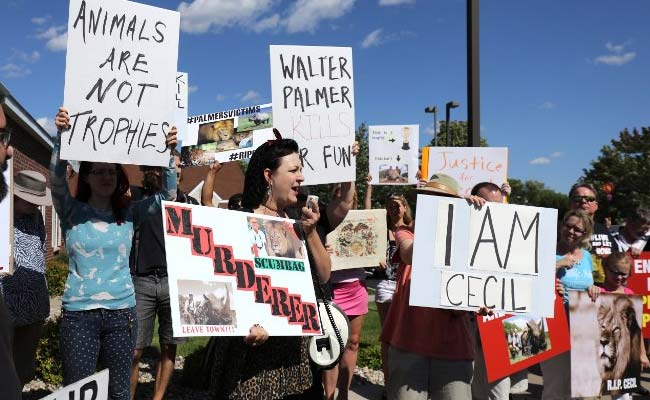 Did Nothing Wrong, Says Hunter of Cecil the Lion