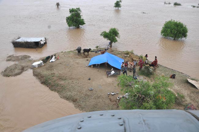 गुजरात-राजस्थान बाढ़ राहत अभियान में सेना ने इंसानों व जानवरों को बचाने के लिए लगाई जान की बाजी