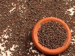 India to Buy Oilseeds from Farmers in Bid to Slash Imports India to Buy Oilseeds from Farmers in Bid to Slash Imports