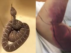 He Posed For Selfie With a Deadly Rattlesnake. It Cost Him $150,000.