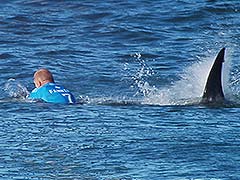 Surfer Mick Fanning Battles Shark Attack at J-Bay Open: 'I'm Just Tripping'