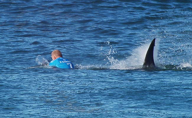 Shaken Fanning Not Giving Up on Surfing Despite Shark Attack