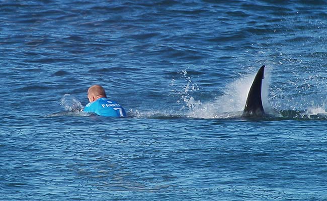 Surfer Mick Fanning Battles Shark Attack at J-Bay Open: 'I'm Just Tripping'