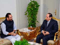 Keen to Learn From India's Experience in Handling Terror: Egypt