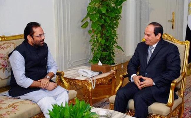 Keen to Learn From India's Experience in Handling Terror: Egypt