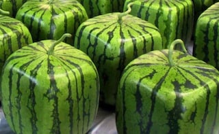 Pricey Produce: Cube & Heart Shaped Watermelons in Japan