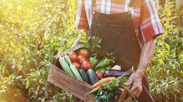 With Farms, Fruit & feed, Vietnam's Tycoons Explore Agribusiness Ventures