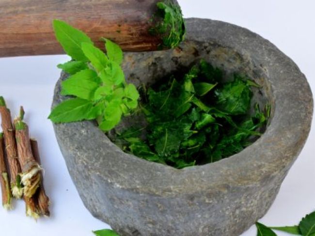 6 Per Cent People Treated By Traditional Medicine Systems: Survey