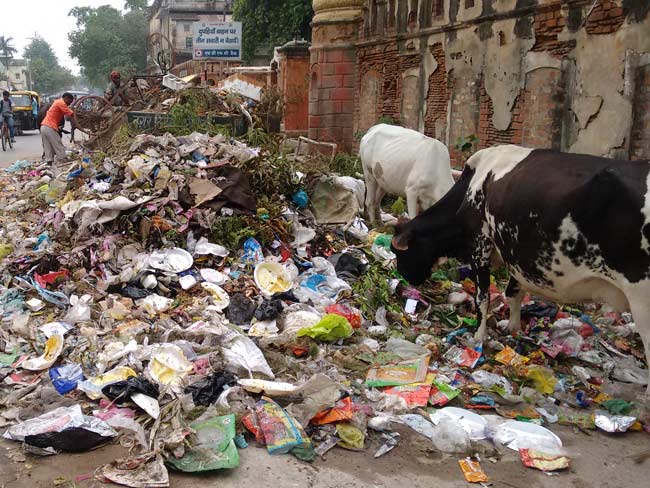 मैं प्रधानमंत्री के संसदीय क्षेत्र का कूड़ा हूं, किसी में हिम्मत है हाथ लगाने की?