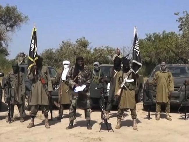 Boko Haram Jihadists Briefly Seize Town on Cameroon Border