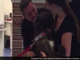 Family Drives 4,000 Kilometers to be Reunited with Lost Pet Dog After 9 Years Family Drives 4,000 Kilometers to be Reunited with Lost Pet Dog After 9 Years