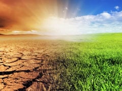 Current Pace Of Environmental Change Unprecedented: Study