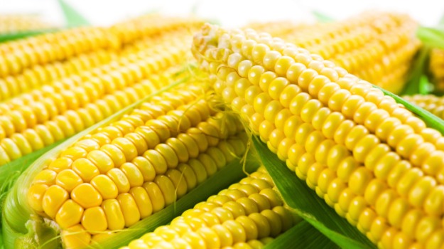Drought Seen Cutting India's Summer-Sown Corn Output by 15%