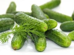 Grocery Buying Guide: How to Buy and Store Cucumbers Grocery Buying Guide: How to Buy and Store Cucumbers