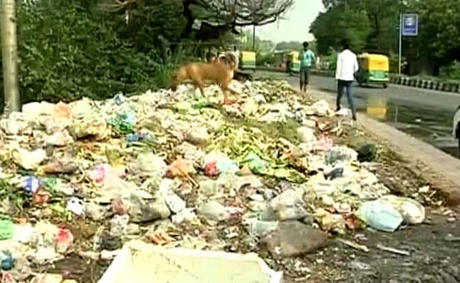 On Cleanliness, Delhi is a Tale of Two Cities