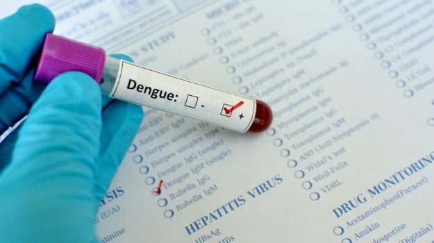 Dengue Cases on the Rise in Delhi, Over 50 Reported So Far