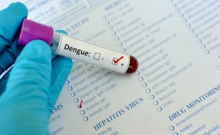 Dengue Cases on the Rise in Delhi, Over 50 Reported So Far