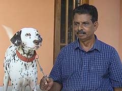 Want to Own a Dog? You Need a Licence in This Kerala Town