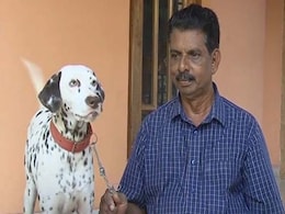 Want to Own a Dog? You Need a Licence in This Kerala Town Want to Own a Dog? You Need a Licence in This Kerala Town