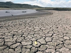 75-80 Per Cent Chance Of El Nino In Next 3 Months: United Nations