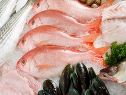 Hong Kong's Love for Seafood Poses a Threat Hong Kong's Love for Seafood Poses a Threat