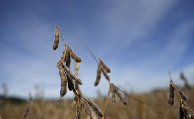 Severe 'Food Shocks' More Likely Due to Extreme Weather, Experts Warn