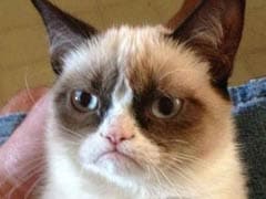 Internet Sensation Grumpy Cat to Get Wax Figure at Madame Tussauds