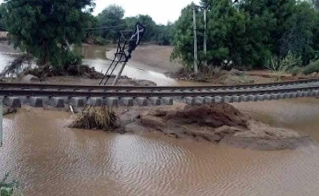 गुजरात में बाढ़ में बड़ी संख्या में पशुओं की मौत से दूध की किल्लत