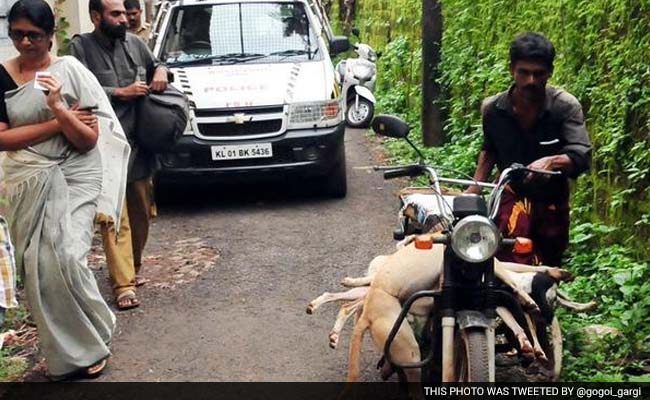 This Is What Kerala Officials Say About Mass Dog Killings