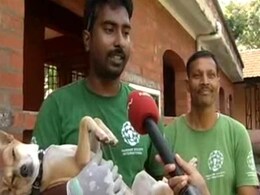 Amidst Protests Over Culling, Kerala Starts Sterilisation Drive for Stray Dogs Amidst Protests Over Culling, Kerala Starts Sterilisation Drive for Stray Dogs