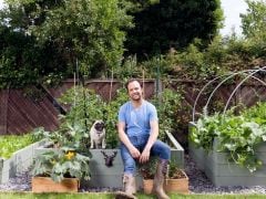 From Fork to Fork: Five Cooks and their Kitchen Gardens From Fork to Fork: Five Cooks and their Kitchen Gardens