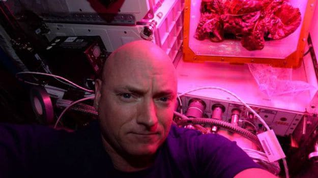 Nasa Astronauts Take First Bites of Lettuce Grown in Space: 'Tastes Like Arugula'
