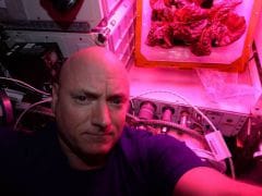 Nasa Astronauts Take First Bites of Lettuce Grown in Space: 'Tastes Like Arugula'