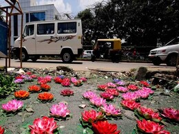 After Crocodile and an Anaconda, Lotuses Spotted on a Bengaluru Road After Crocodile and an Anaconda, Lotuses Spotted on a Bengaluru Road