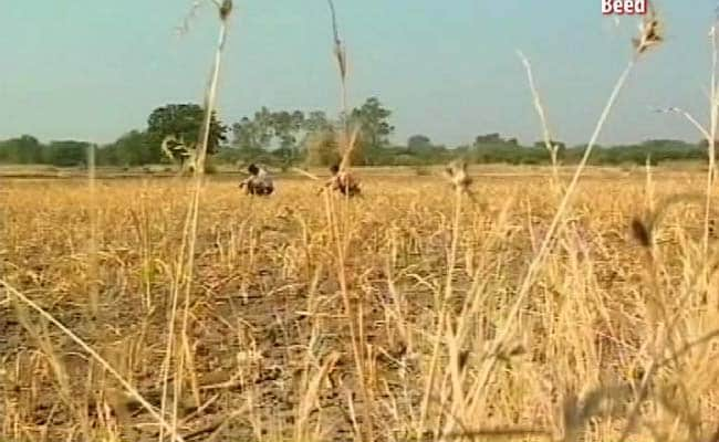 Monsoon Deficit: Country Stares at Drought