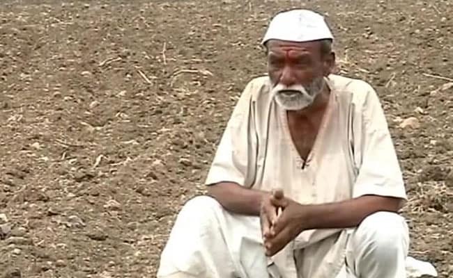 मराठवाड़ा के सूखा पीड़ित किसानों को समय रहते नहीं मिल रही सरकारी मदद