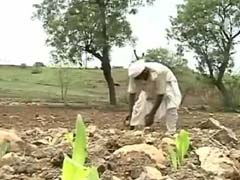 मराठवाड़ा के सूखा पीड़ित किसानों को समय रहते नहीं मिल रही सरकारी मदद