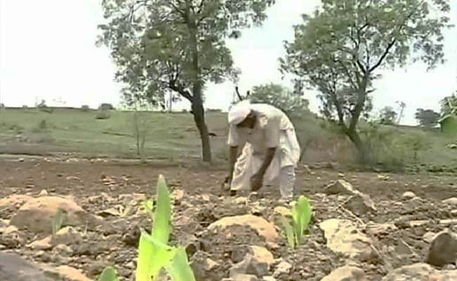 मराठवाड़ा के किसानों के पास बुवाई के लिए नहीं हैं पैसे, कर रहे कर्ज माफी की मांग