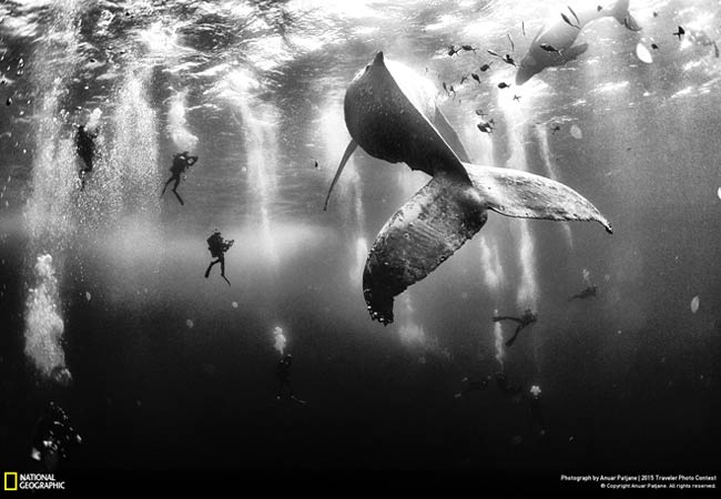 The Winners of NatGeo's Photo Contest Will Take Your Breath Away