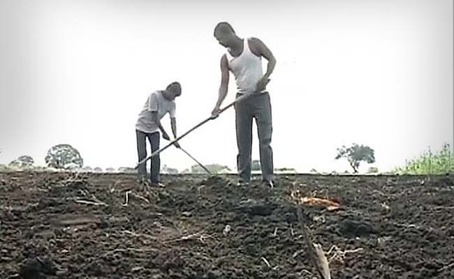 किसान ने PMO को पत्र लिखकर सरकारी रिपोर्ट को बताया गलत, कहा- जानबूझकर अधिकारियों ने की गलती