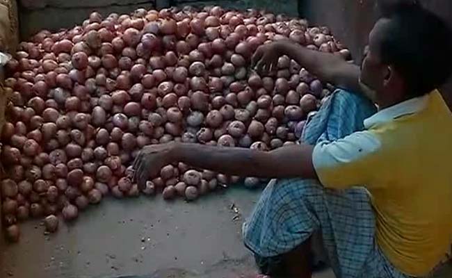Centre Blames Delhi Government for Not Acting Against Onion Hoarders