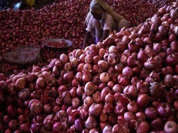 इस बार प्याज महंगी नहीं होने देगी सरकार, किसानों से सीधा खरीदेगी 15,000 टन प्याज इस बार प्याज महंगी नहीं होने देगी सरकार, किसानों से सीधा खरीदेगी 15,000 टन प्याज